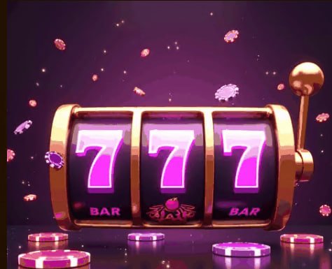 29 winbd